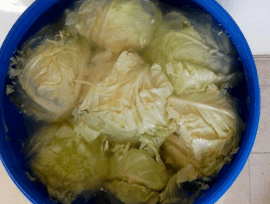 What is sauerkraut?